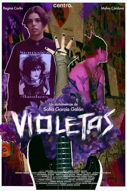 Violetas Violetas
